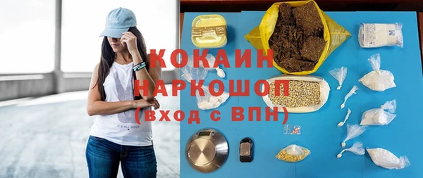 PSILOCYBIN Волосово