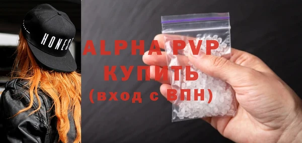 PSILOCYBIN Волосово