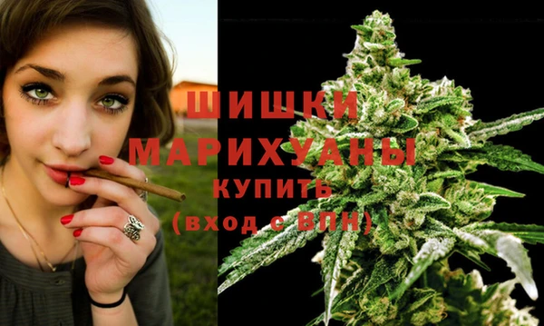 МДПВ Володарск