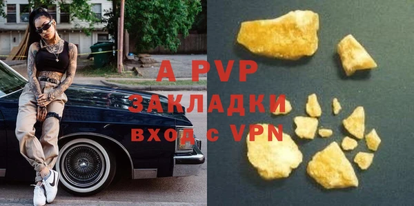 PSILOCYBIN Волосово