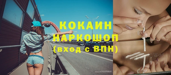 PSILOCYBIN Волосово